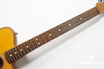 Acoustasonic Player Telecaster - Butterscotch Blonde